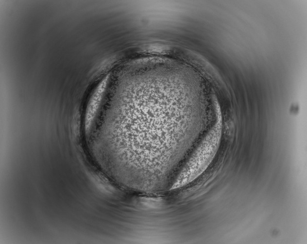 X0000102510552200808221820