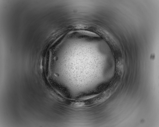 X0000102510554200808221820
