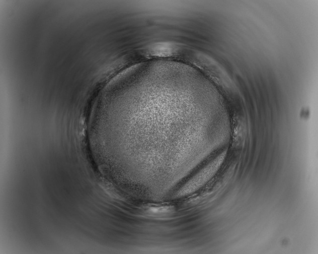 X0000102510555200808221820