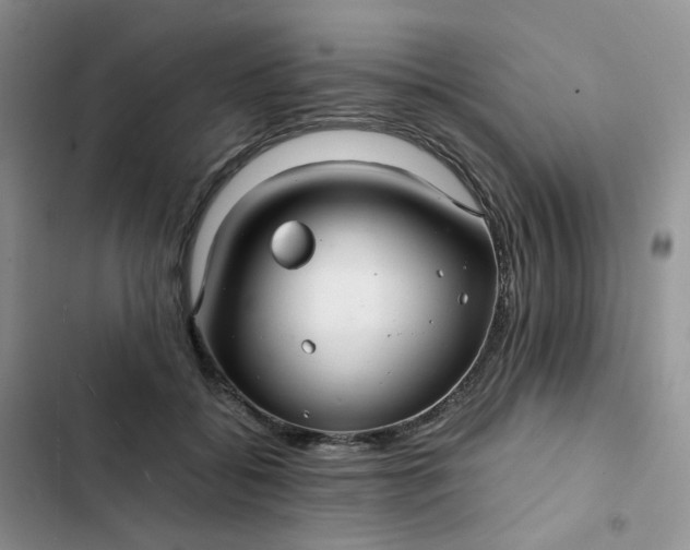 X0000102510556200808221820