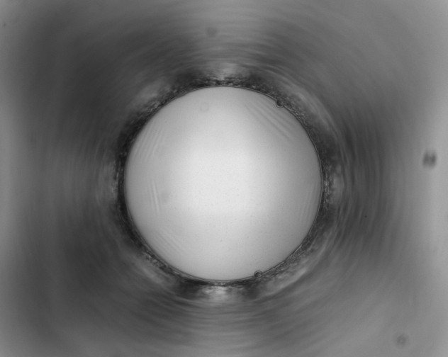 X0000102510558200808221820