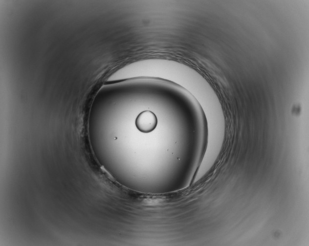 X0000102510560200808221820