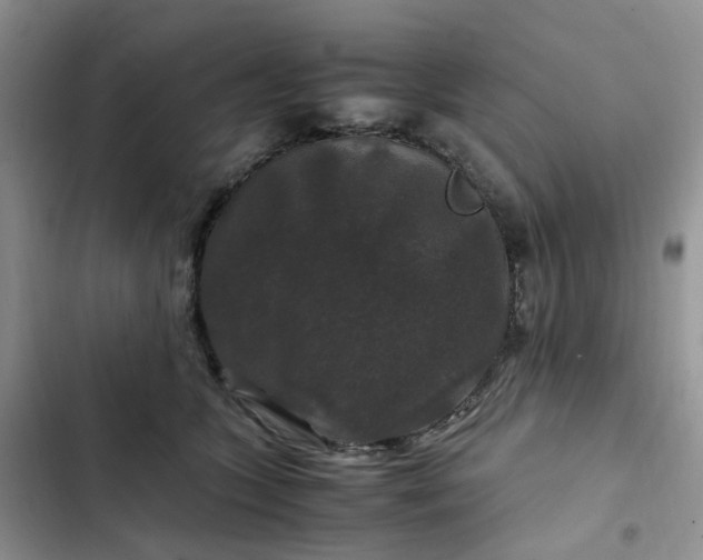 X0000102510563200808221820