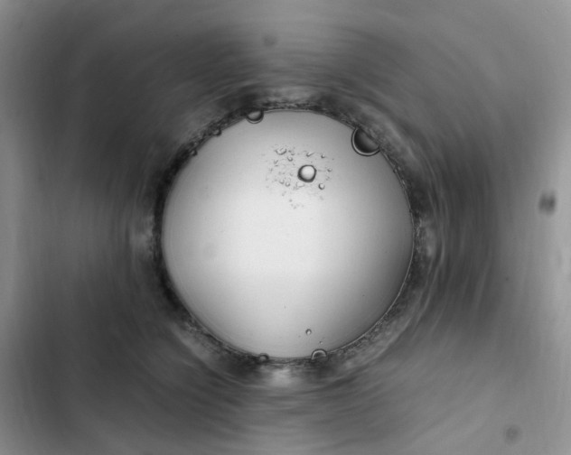 X0000102510564200808221820