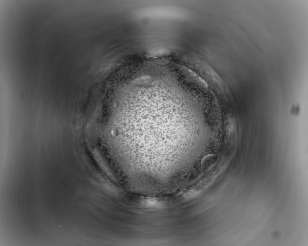 X0000102510565200808221820