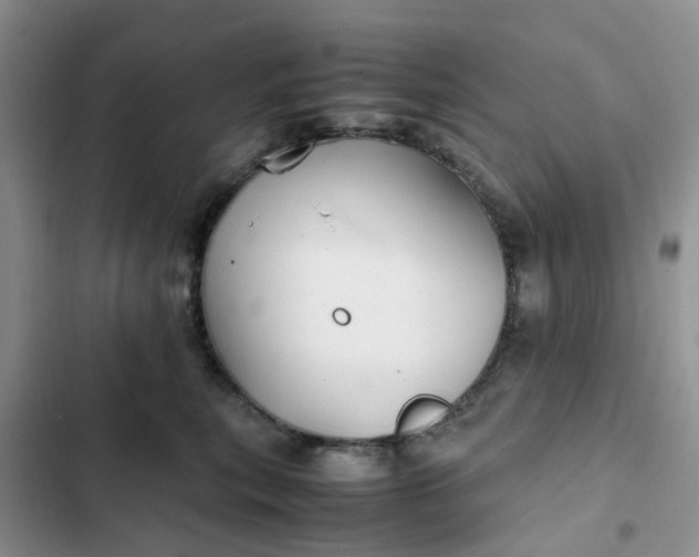 X0000102510567200808221820
