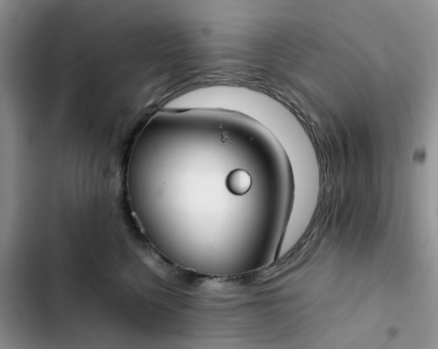 X0000102510568200808221820