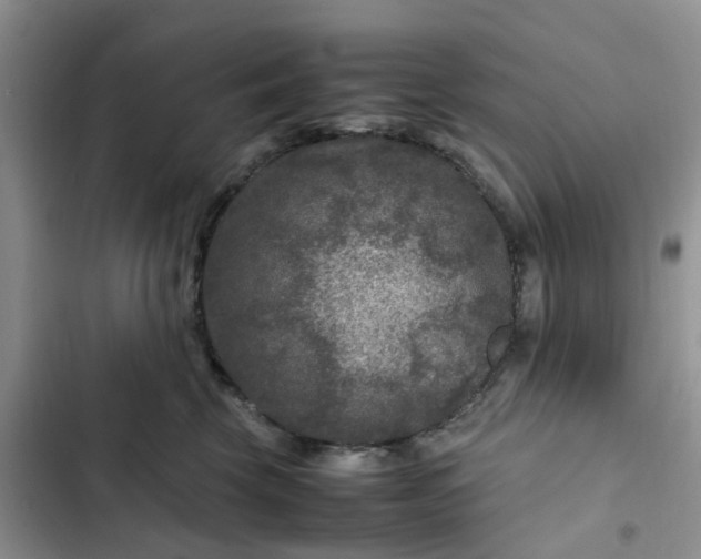 X0000102510569200808221820