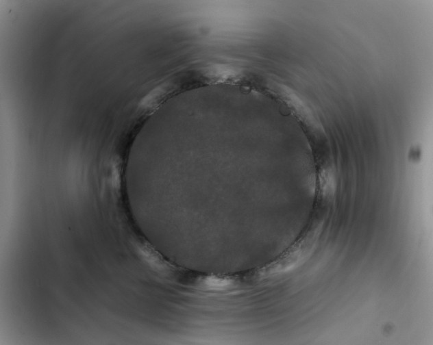 X0000102510570200808221820