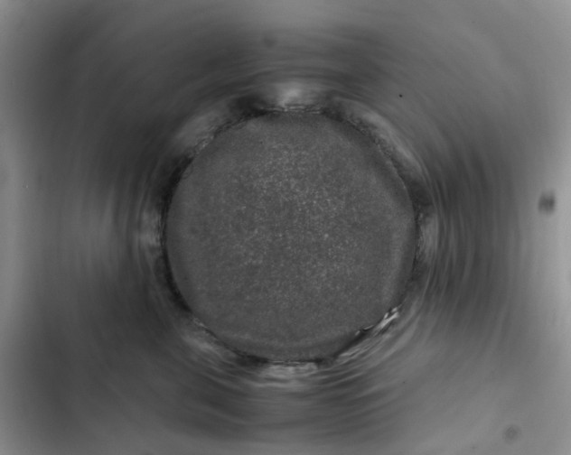 X0000102510571200808221820