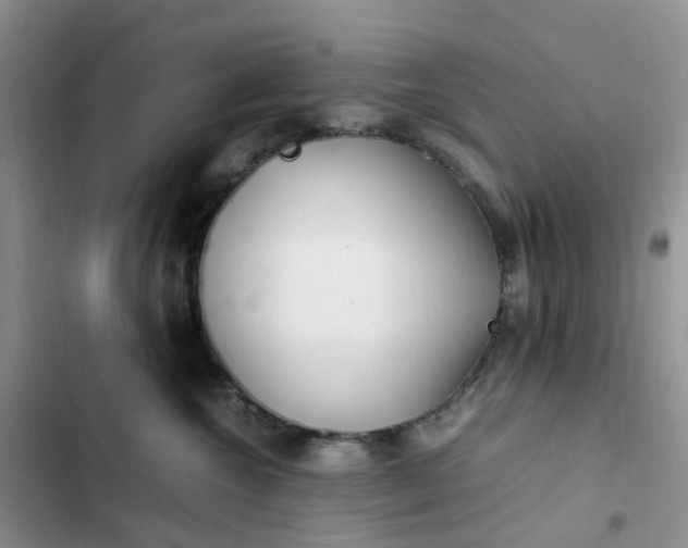 X0000102510572200808221820