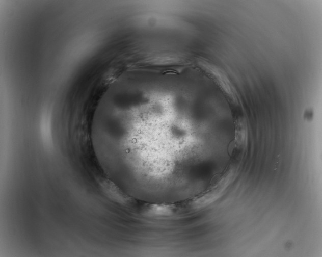 X0000102510573200808221820