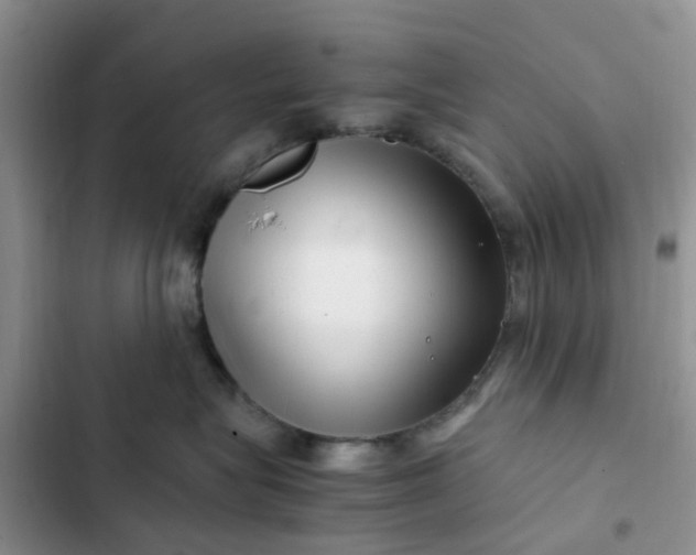 X0000102510575200808221820