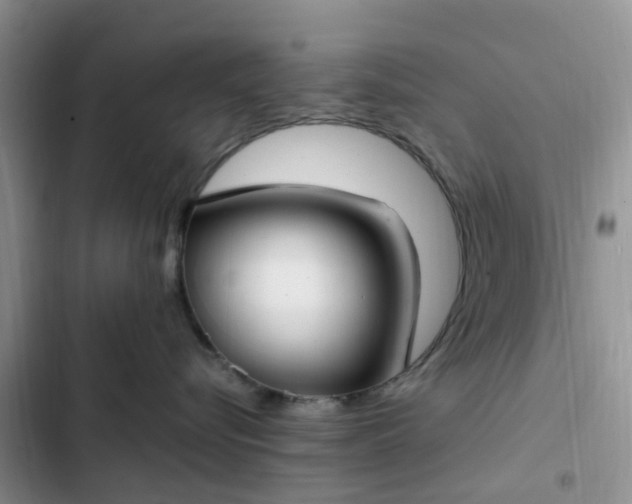 X0000102510576200808221820