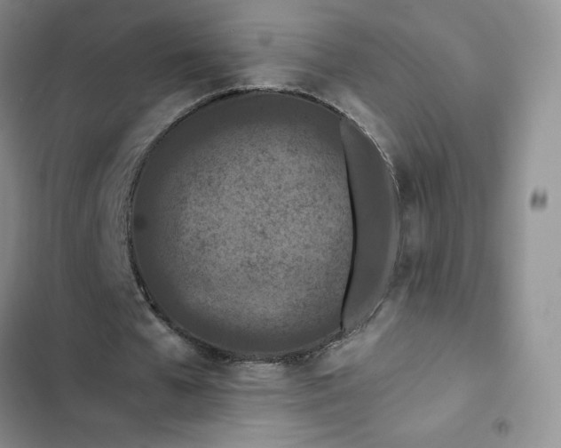 X0000102510577200808221819