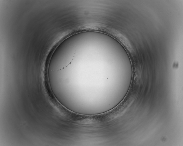 X0000102510578200808221819