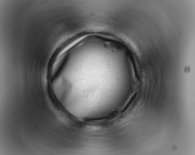 X0000102510582200808221819