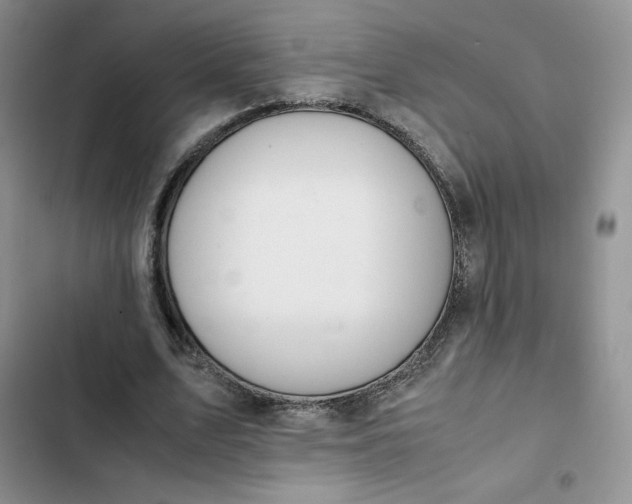 X0000102510583200808221819
