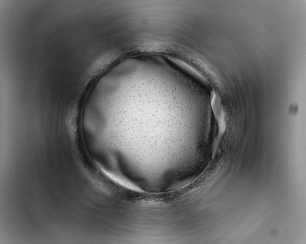 X0000102510586200808221819
