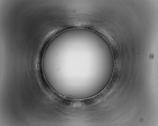 X0000102510587200808221819