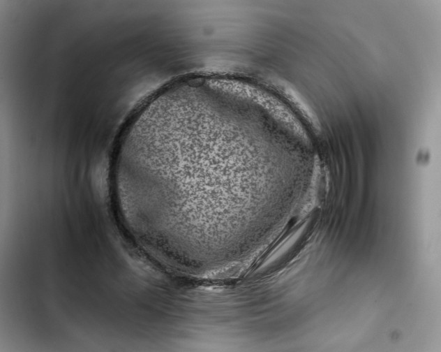 X0000102510588200808221819
