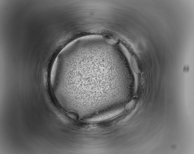X0000102510589200808221819