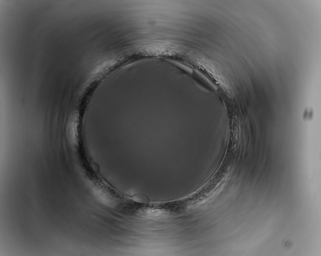 X0000102510590200808221819