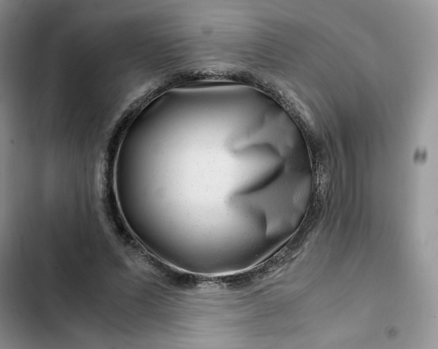X0000102510591200808221819
