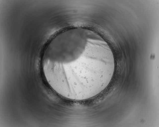 X0000102510592200808221819