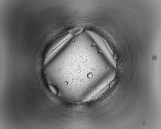 X0000102510593200808221819