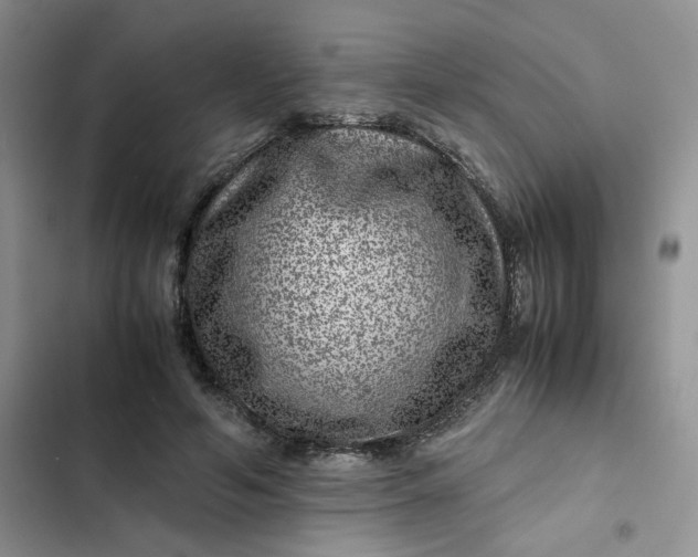 X0000102510594200808221819
