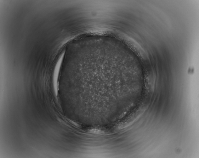 X0000102510596200808221819
