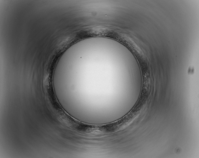X0000102510597200808221819