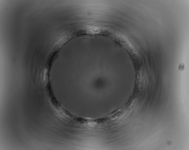X0000102510598200808221819