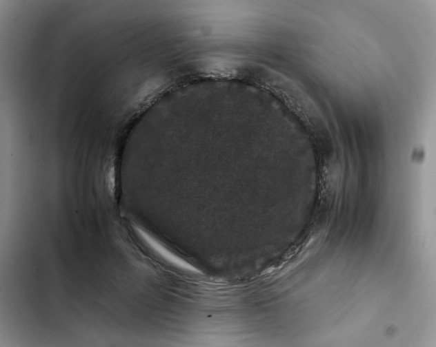 X0000102510600200808221819