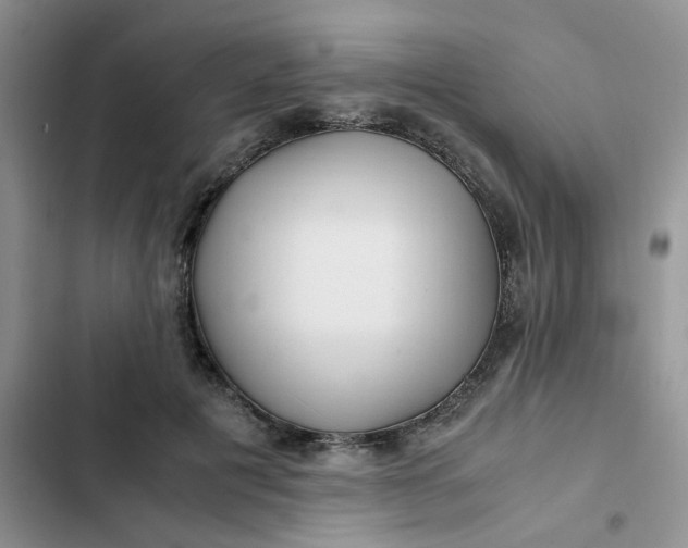 X0000102510601200808221819