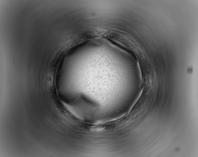 X0000102510602200808221819
