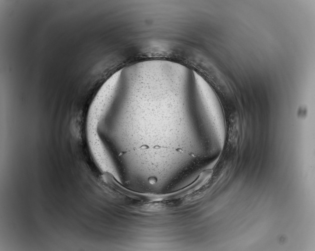 X0000102510604200808221819