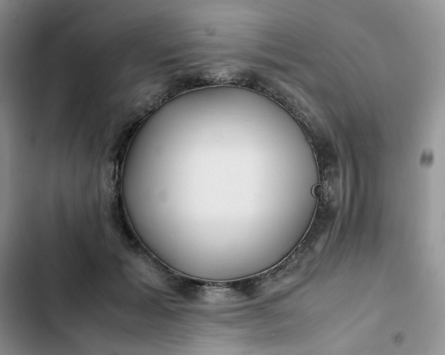 X0000102510605200808221819
