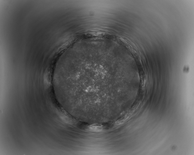 X0000102510606200808221819