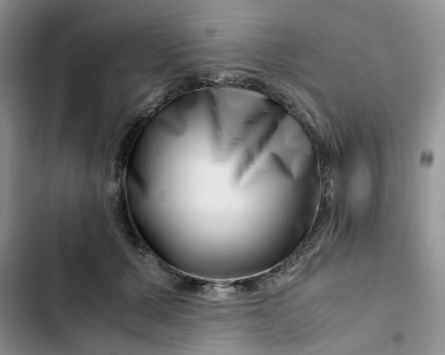 X0000102510607200808221819