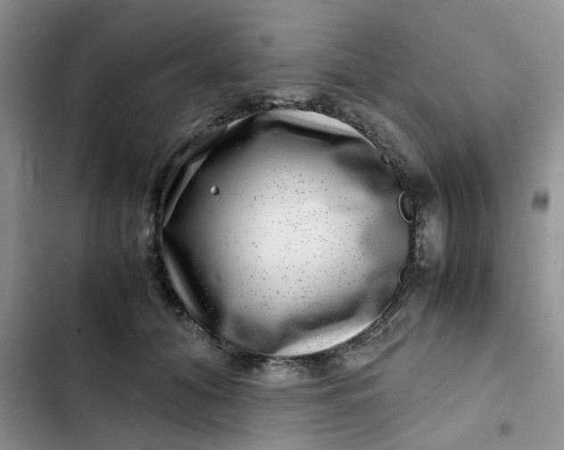 X0000102510608200808221819