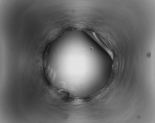 X0000102510609200808221819