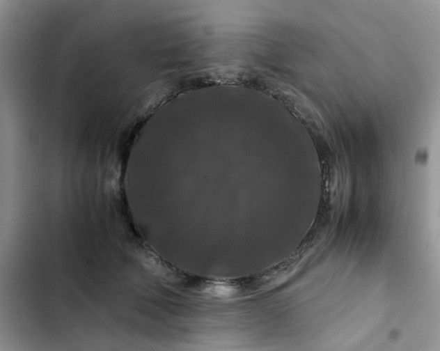 X0000102510610200808221819