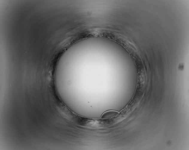 X0000102510611200808221819
