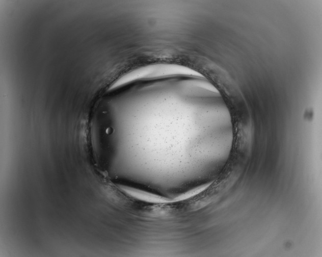X0000102510612200808221819