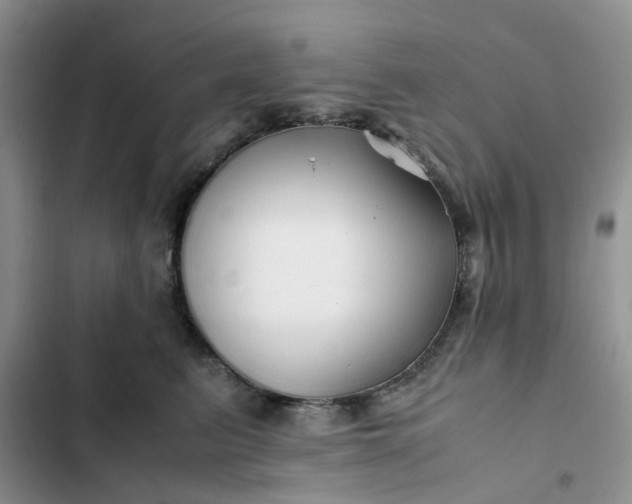 X0000102510615200808221819