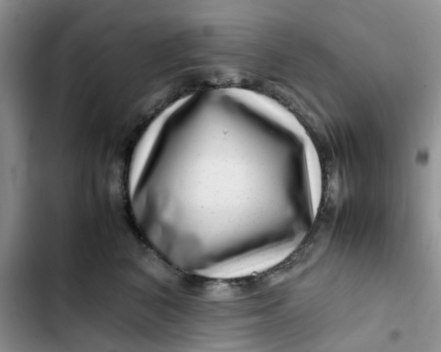 X0000102510616200808221819