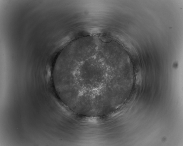 X0000102510618200808221819