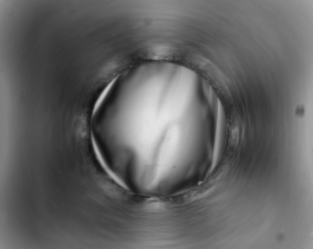 X0000102510620200808221819